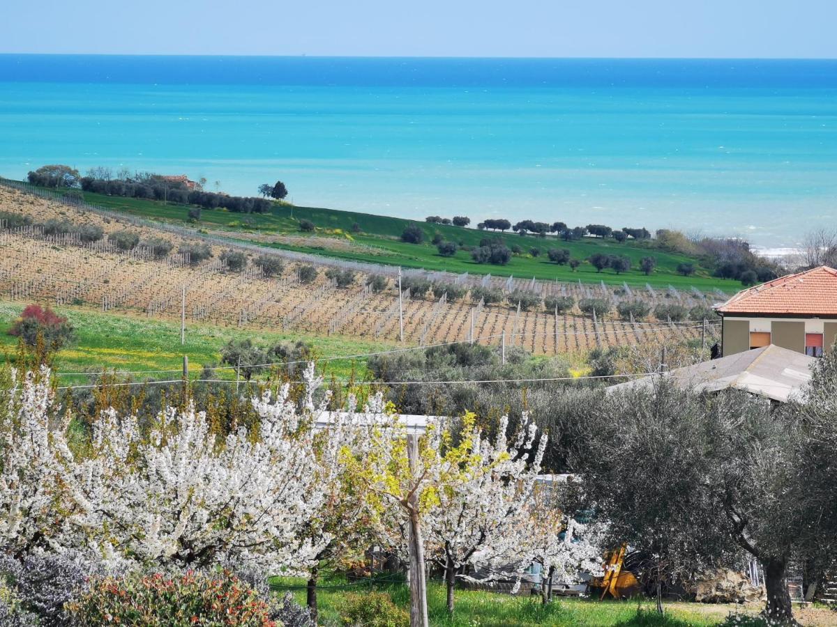 Villa Borsacchio Roseto Degli Abruzzi Εξωτερικό φωτογραφία