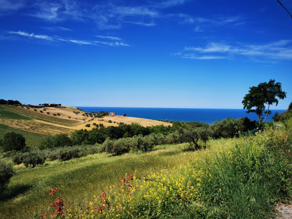 Villa Borsacchio Roseto Degli Abruzzi Εξωτερικό φωτογραφία