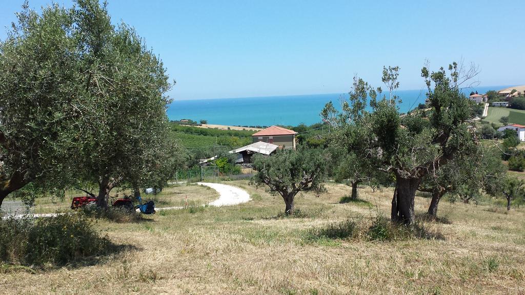 Villa Borsacchio Roseto Degli Abruzzi Δωμάτιο φωτογραφία