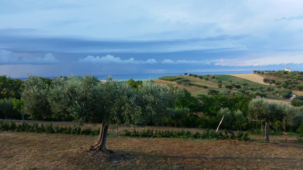 Villa Borsacchio Roseto Degli Abruzzi Εξωτερικό φωτογραφία