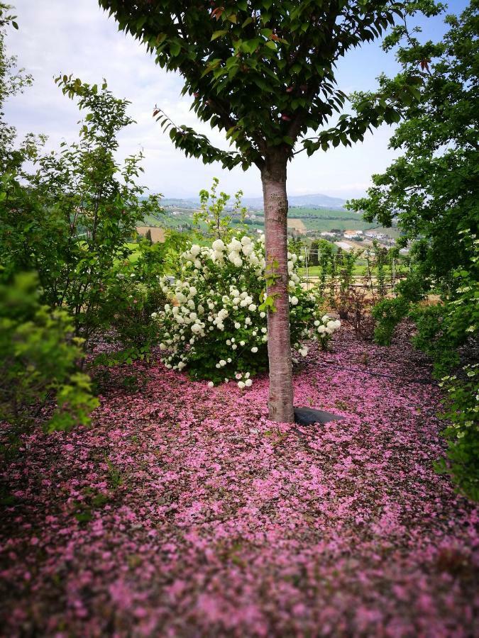 Villa Borsacchio Roseto Degli Abruzzi Εξωτερικό φωτογραφία